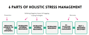 Holistic Stress Management Models